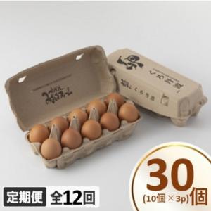 ふるさと納税 京丹波町 【毎月定期便】京丹波 こだわり たまご くろ丹波 30個全12回