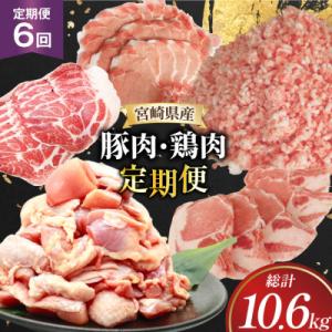 ふるさと納税 日向市 【毎月定期便】豚肉 鶏肉 宮崎県産(日向市)全6回