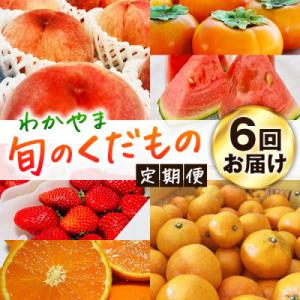ふるさと納税 広川町 【発送月固定定期便】わかやま旬のくだもの【S】全6回
