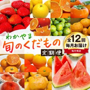 ふるさと納税 和歌山市 【発送月固定定期便】わかやま旬のくだもの【S】全12回