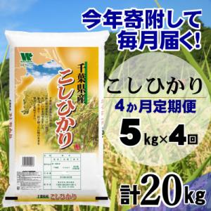 ふるさと納税 大網白里市 【毎月定期便】コシヒカリ 精米 5kg (5kg×1袋)全4回