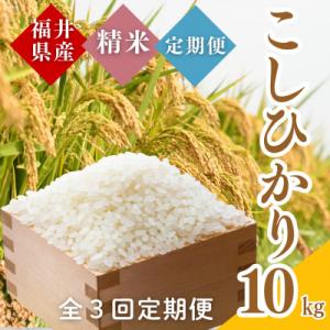 ふるさと納税 小浜市 【毎月定期便】福井県産こしひかり白米10kg全3回