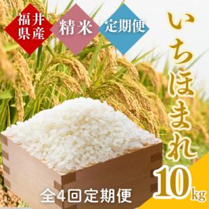 ふるさと納税 小浜市 【毎月定期便】いちほまれ白米10kg全4回