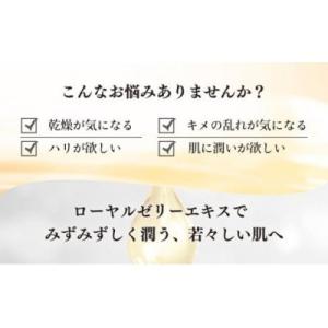 ふるさと納税 鏡野町 【毎月定期便】RJクリー...の詳細画像1