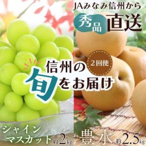 ふるさと納税 豊丘村 【発送月固定定期便】南信州で人気のフルーツ!旬の豊水梨とシャインマスカット全2...