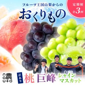 ふるさと納税 笛吹市 【発送月固定定期便】訳あり 山梨 人気の果物 桃・巨峰・シャインマスカット全3...