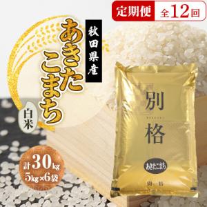 ふるさと納税 大潟村 【毎月定期便】あきたこまち 白米 30kg(5kg×6袋)全12回