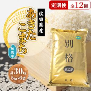 ふるさと納税 大潟村 【毎月定期便】あきたこまち 無洗米 30kg(5kg×6袋)全12回