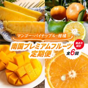 ふるさと納税 国頭村 【発送月固定定期便】南国プレミアムフルーツ定期便(マンゴー&amp;パイナップル2種&amp;...