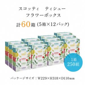 ふるさと納税 福知山市 ボックスティッシュ60...の詳細画像1