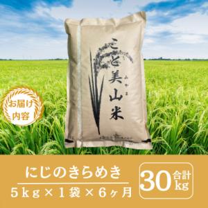 ふるさと納税 南丹市 【毎月定期便】にじのきら...の詳細画像1