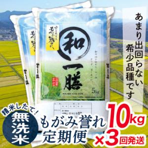 ふるさと納税 最上町 【毎月定期便】買い忘れなしで美味しいもがみ誉れ10kg(無洗米)が届く全3回