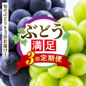 ふるさと納税 三木町 【発送月固定定期便】ぶどう定期便全3回