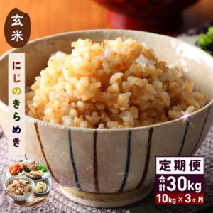 ふるさと納税 笠間市 【毎月定期便】茨城県笠間市 にじのきらめき 玄米 10kg(5kg×2袋)全3回