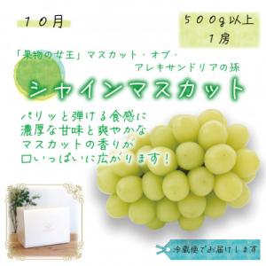 ふるさと納税 津山市 【発送月固定定期便】岡山...の詳細画像2