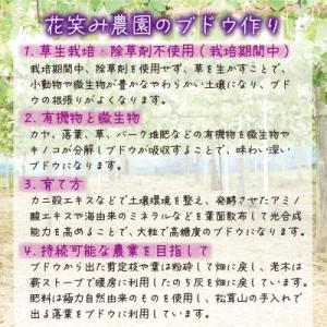 ふるさと納税 津山市 【発送月固定定期便】岡山...の詳細画像3