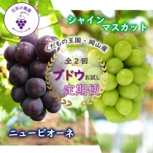 ふるさと納税 新庄村 【発送月固定定期便】岡山　花笑み農園のピオーネ&シャインお試し便(各1房・500g以上)全2回
