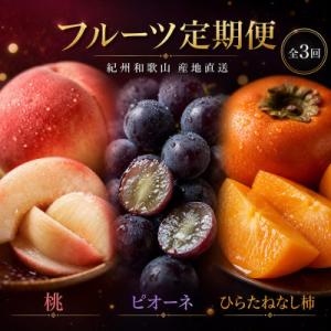 ふるさと納税 北山村 【発送月固定定期便】紀州和歌山産旬のフルーツ定期便 (桃・ピオーネ・平核無柿)【tkb371】全3回