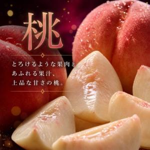 ふるさと納税 北山村 【発送月固定定期便】紀州...の詳細画像1