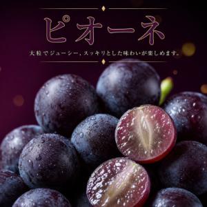 ふるさと納税 北山村 【発送月固定定期便】紀州...の詳細画像2
