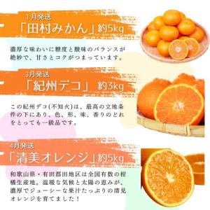 ふるさと納税 北山村 【発送月固定定期便】旬の...の詳細画像1