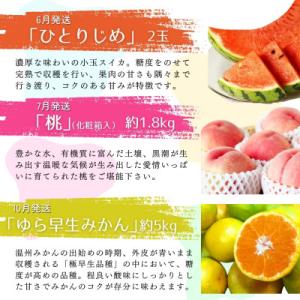 ふるさと納税 北山村 【発送月固定定期便】旬の...の詳細画像2