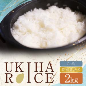 ふるさと納税 うきは市 【毎月定期便】UKIHA RICE 白米2kg×3回(特別栽培米)063-0299全3回