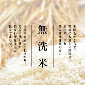 ふるさと納税 南魚沼市 【毎月定期便】南魚沼産...の詳細画像2
