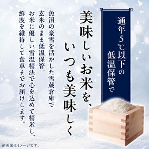 ふるさと納税 南魚沼市 【毎月定期便】南魚沼産...の詳細画像3