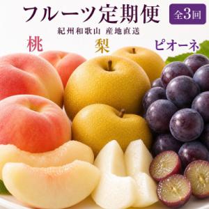 ふるさと納税 北山村 【発送月固定定期便】紀州和歌山産旬のフルーツ定期便 (桃・梨・ピオーネ) 【tkb424】全3回