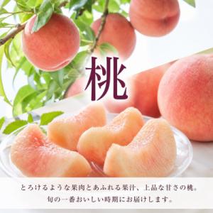 ふるさと納税 北山村 【発送月固定定期便】紀州...の詳細画像1