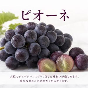 ふるさと納税 北山村 【発送月固定定期便】紀州...の詳細画像3