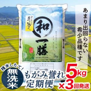 ふるさと納税 最上町 【毎月定期便】買い忘れなしで美味しいもがみ誉れ5kg(無洗米)が届く全3回