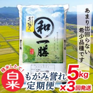 ふるさと納税 最上町 【毎月定期便】買い忘れなしで美味しいもがみ誉れ5kg(白米)が届く全3回
