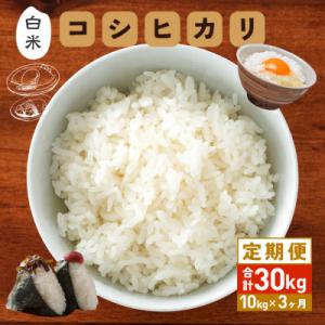 ふるさと納税 笠間市 【毎月定期便】笠間産 コシヒカリ 10kg 精米全3回