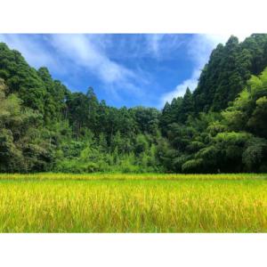 ふるさと納税 大網白里市 【毎月定期便】2年連...の詳細画像2