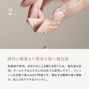 ふるさと納税 鎌倉市 【毎月定期便】【Lypo...の詳細画像2