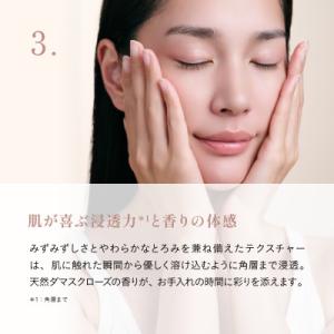 ふるさと納税 鎌倉市 【毎月定期便】【Lypo...の詳細画像3