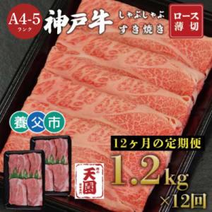 ふるさと納税 養父市 【毎月定期便】【ふるさと納税】神戸牛 霜降り 肩ロース しゃぶしゃぶすき焼き1200g×全12回