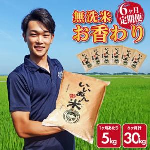 ふるさと納税 酒田市 【毎月定期便】無洗米 お香わり(山形95号)5kg×6ヶ月連続 計30kg 山形県庄内産全6回