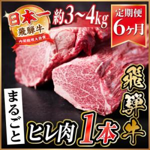 ふるさと納税 羽島市 【毎月定期便】飛騨牛 ヒレ1本(約3〜4kg)【シャトーブリアン&ヒレ】冷蔵便 ステーキ全6回