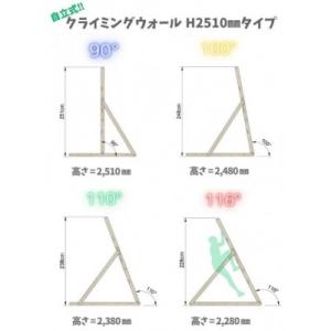ふるさと納税 あま市 自立式クライミングウォー...の詳細画像1