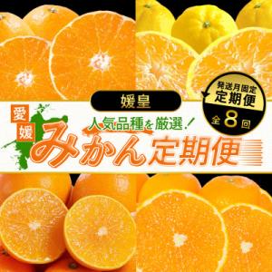 ふるさと納税 八幡浜市 【発送月固定定期便】【媛皇】愛媛県八幡浜産 高級みかん・柑橘定期便【H25-...
