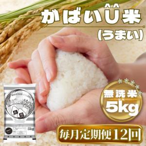 ふるさと納税 鳥栖市 【毎月定期便】がばいU米(うまい)【無洗米】5kg(鳥栖市)全12回