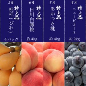 ふるさと納税 高松市 【発送月固定定期便】〜プ...の詳細画像2