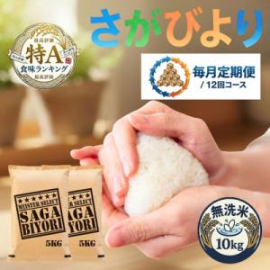 ふるさと納税 吉野ヶ里町 【毎月定期便】【無洗米】さがびより10kg(5kg×2袋)(吉野ヶ里町)全12回
