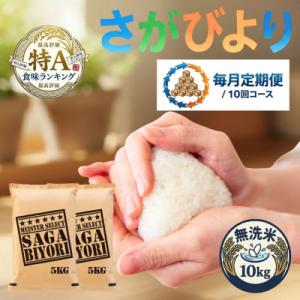 ふるさと納税 吉野ヶ里町 【毎月定期便】【無洗米】さがびより10kg(5kg×2袋)(吉野ヶ里町)全10回
