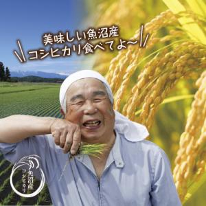 ふるさと納税 十日町市 【毎月定期便】[無洗米...の詳細画像1