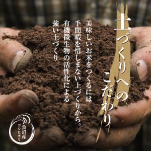 ふるさと納税 十日町市 【毎月定期便】[無洗米...の詳細画像2