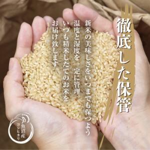 ふるさと納税 十日町市 【毎月定期便】[無洗米...の詳細画像3